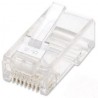 PLUG RJ-45 CAT 6 BOTE  C/ 100 PZASINTELLINET 502344